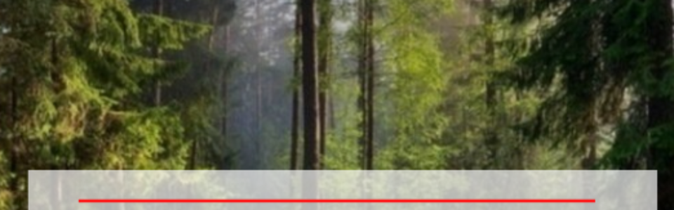 827c9f0050095b013e84c8be89ac5bff_wald